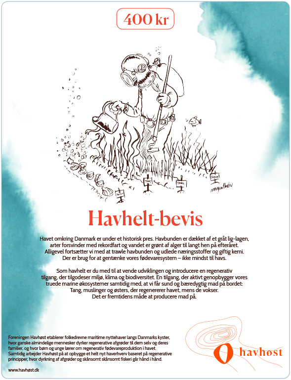 Havhelt_400