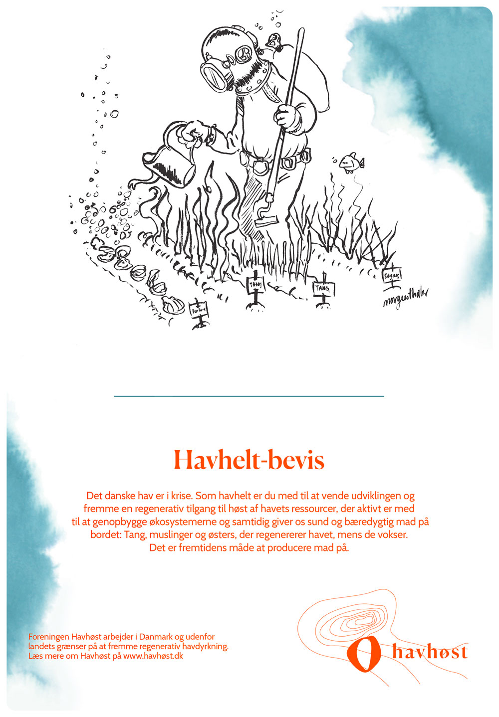 Havhelt_A4