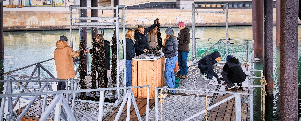 handler om baggrunden for Havhøst, hele skabelsesberetningen og om havbønder som aktører i klimakampen. (1)
