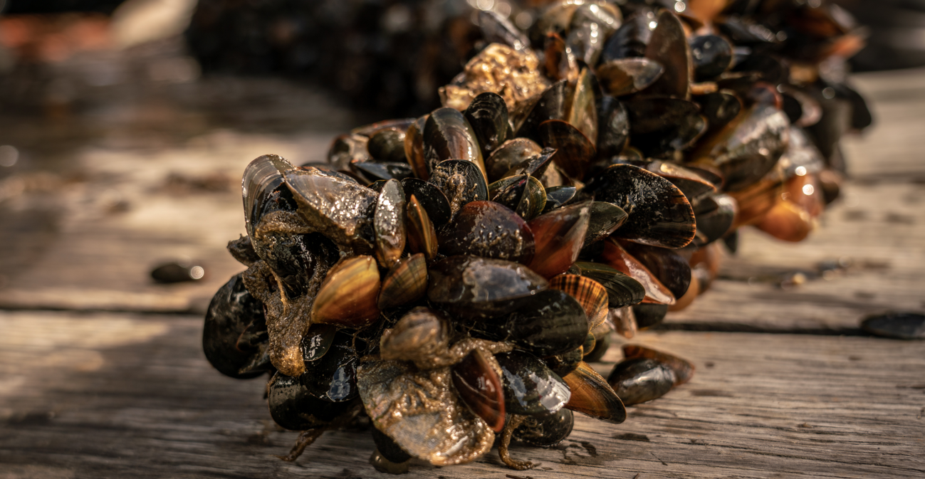 Screenshot 2026-03-25 101054