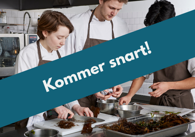 Din afsnitstekst