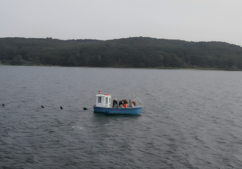 Screenshot 2026-03-16 124649