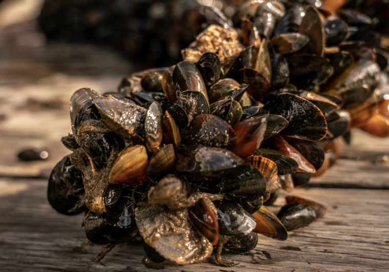 Screenshot 2026-03-25 101054