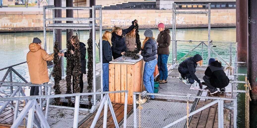 handler om baggrunden for Havhøst, hele skabelsesberetningen og om havbønder som aktører i klimakampen. (1)